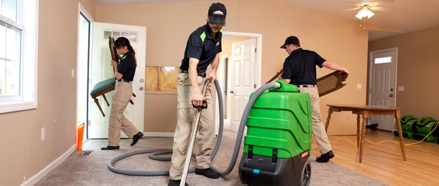 Edison, NJ cleaning services